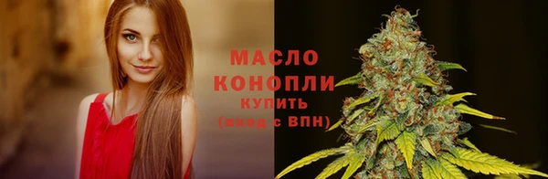 молекула духа Михайловск