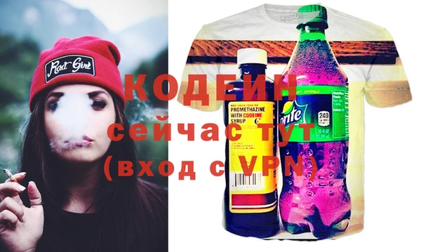 гашик Белая Холуница