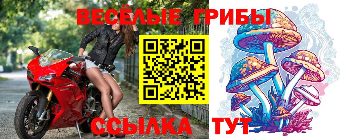 Стрежевой  Галлюциногенные грибы прущие грибы  Вход с VPN 